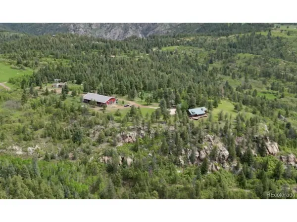 8834 Deiffendeffer Rd, Rye, CO 81069