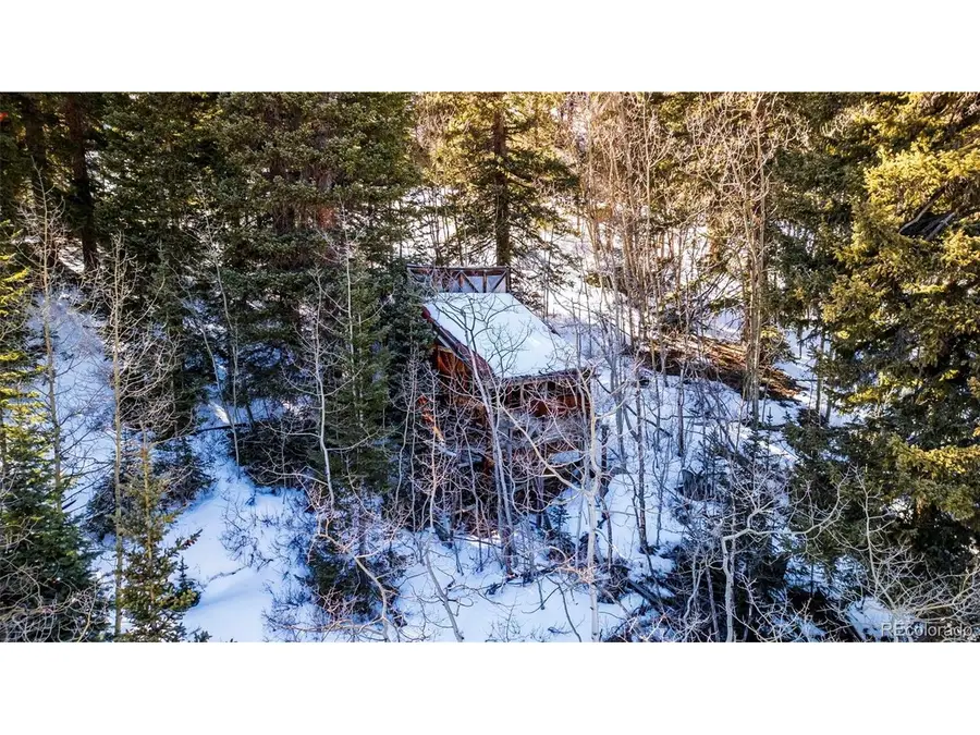 944 Roberts Rd, Alma, CO 80420 - #2