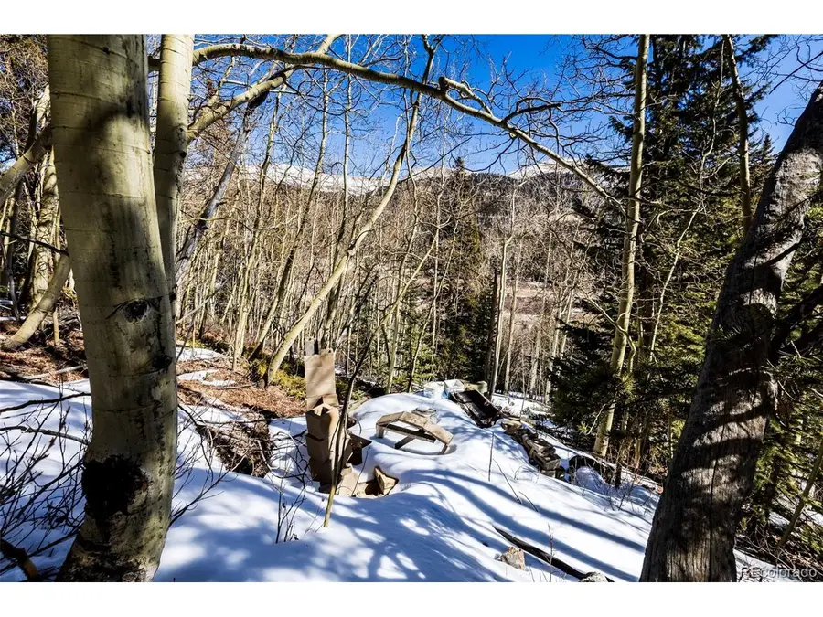 944 Roberts Rd, Alma, CO 80420 - #3