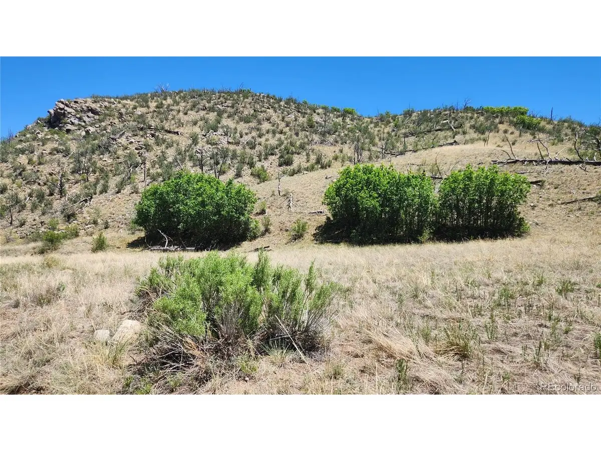 35th Trl, Cotopaxi, CO 81223 - #1