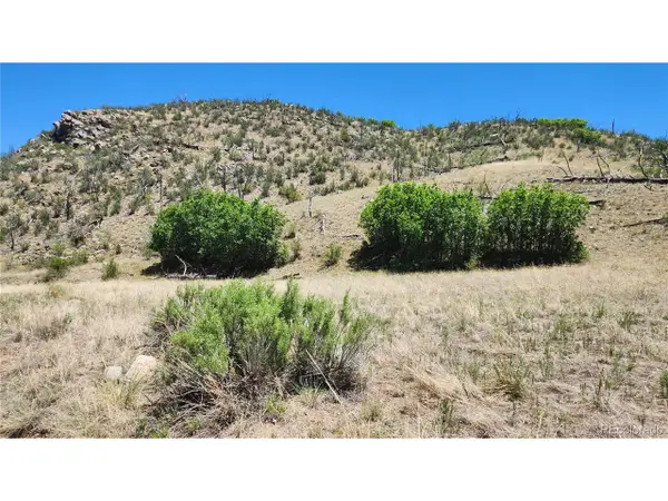 35th Trl, Cotopaxi, CO 81223