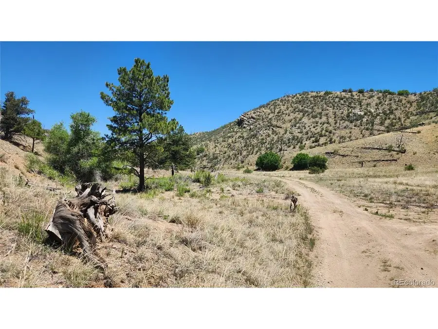 35th Trl, Cotopaxi, CO 81223 - #2