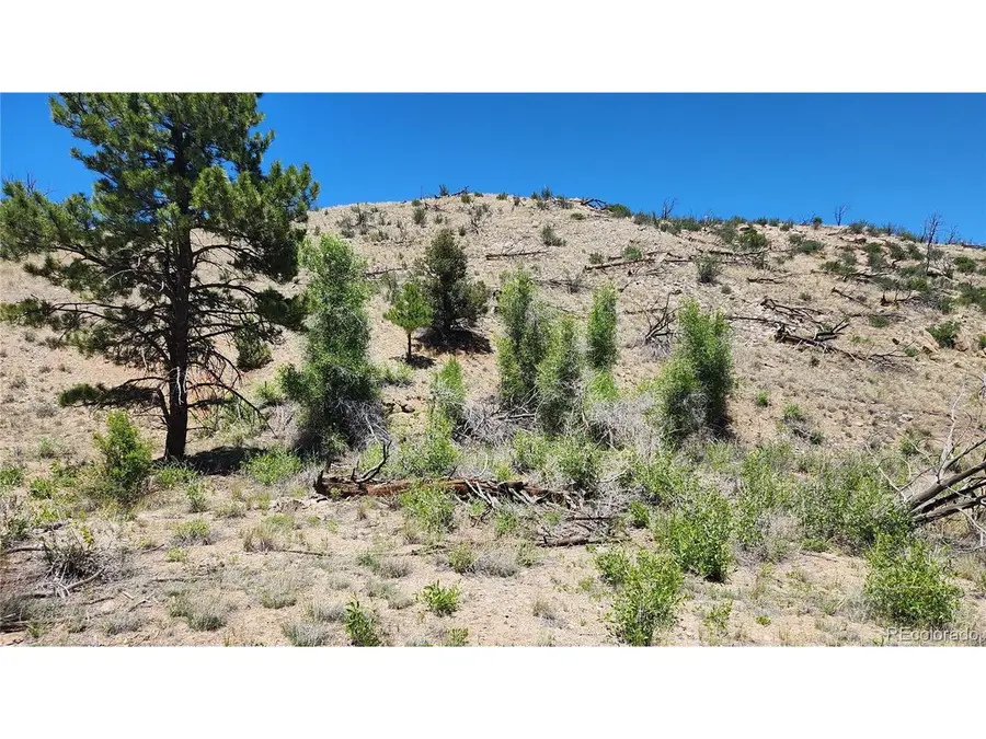 35th Trl, Cotopaxi, CO 81223 - #3