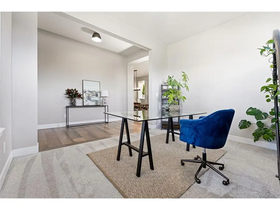 507 Leo Dr, Erie, CO 80516 - #3