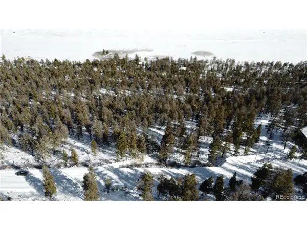 1348 Middle Fork Vis, Fairplay, CO 80440