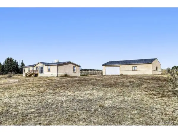 19250 Ramrod Dr, Peyton, CO 80831