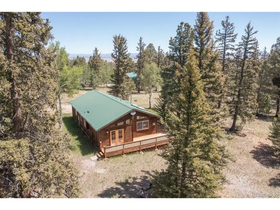 115 Mushroom Ct, Buena Vista, CO 81211 - #2