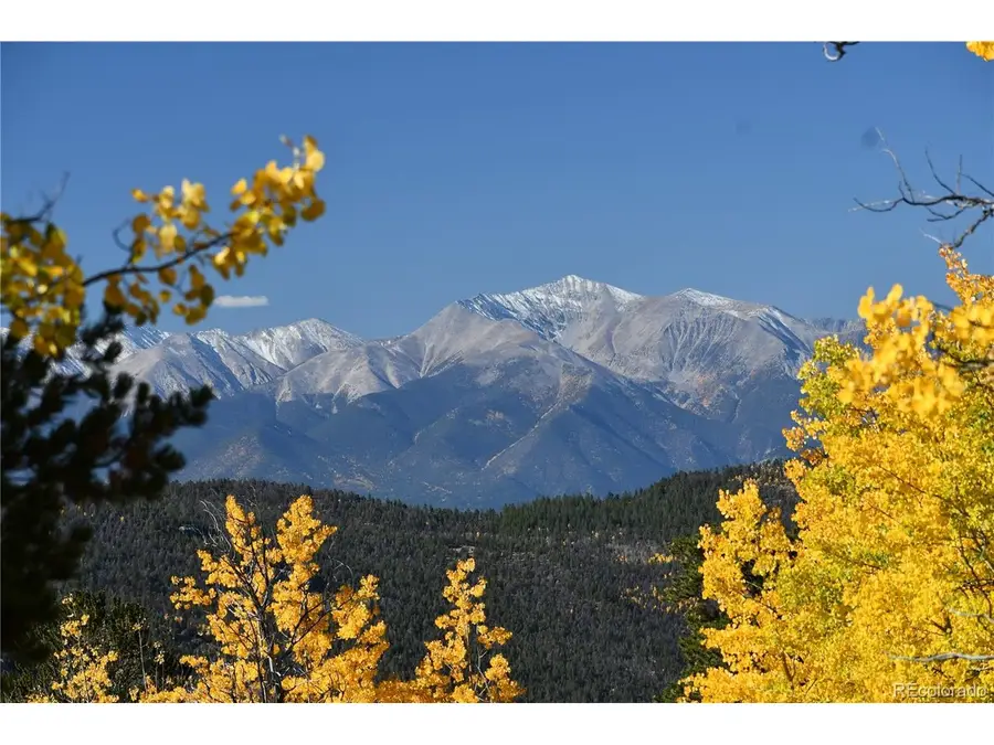 115 Mushroom Ct, Buena Vista, CO 81211 - #3