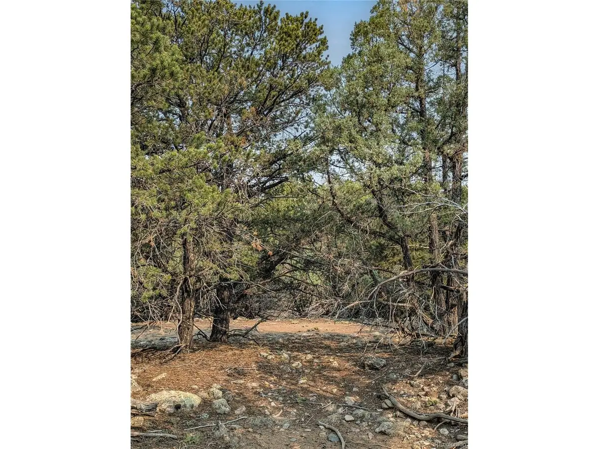 1704 Willow Creek Way, Crestone, CO 81131 - #1