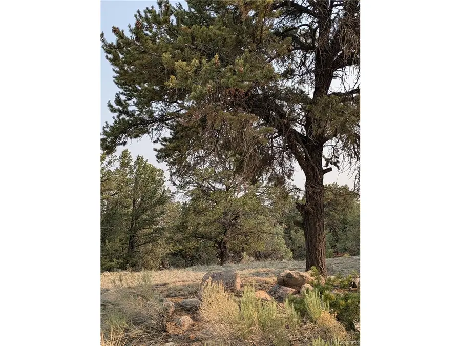 1704 Willow Creek Way, Crestone, CO 81131 - #2