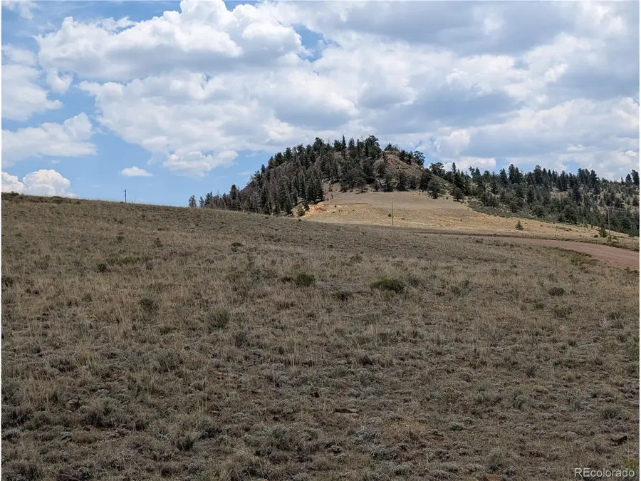 Coyotero Trl, Hartsel, CO 80449 - #3