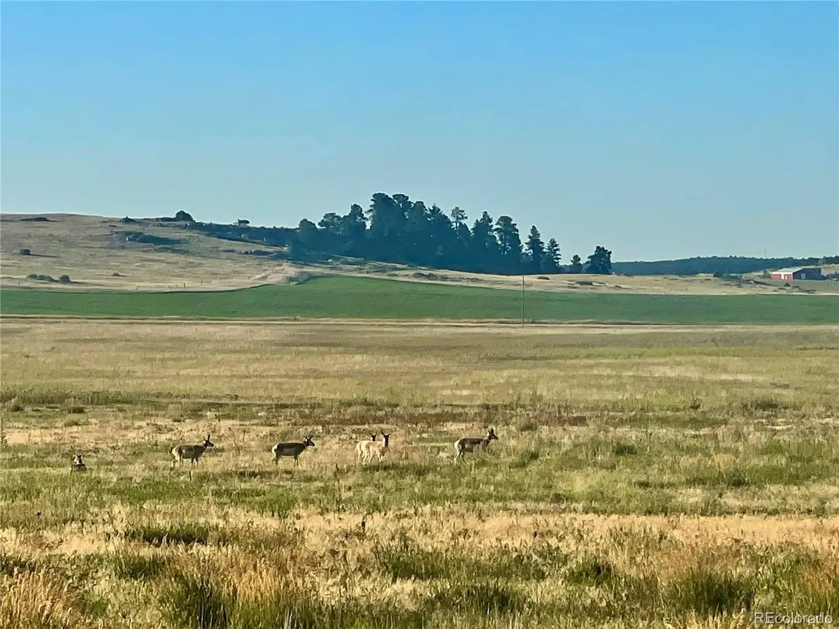 Craven Lot 1, Elbert, CO 80106 - #1