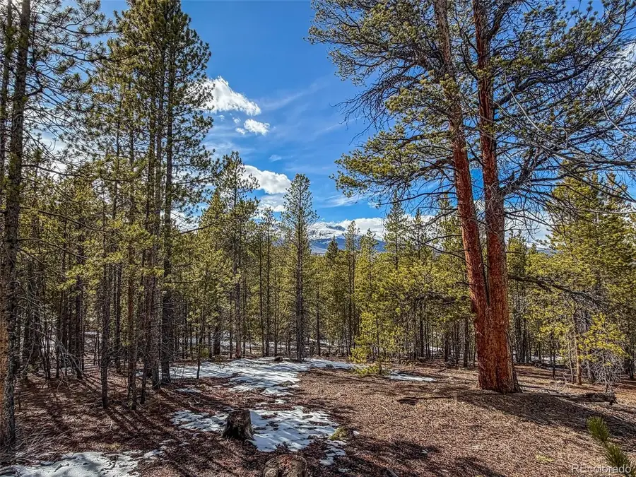 483 Mt Massive Rd, Twin Lakes, CO 81251 - #2