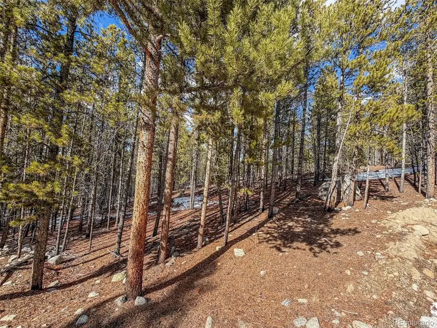 483 Mt Massive Rd, Twin Lakes, CO 81251 - #3