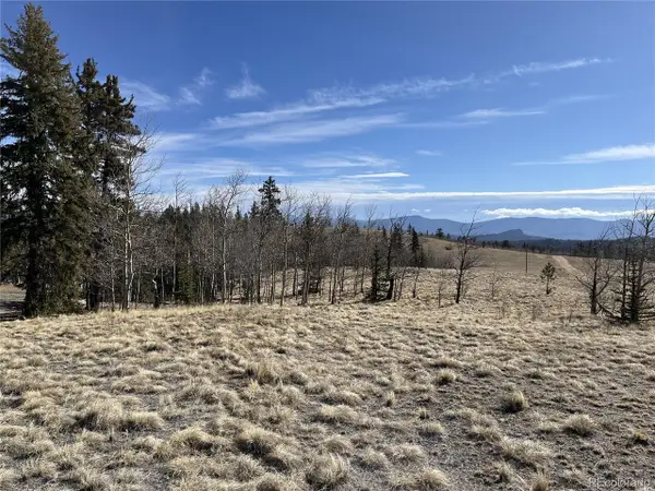 325 Shoshone Dr, Como, CO 80456