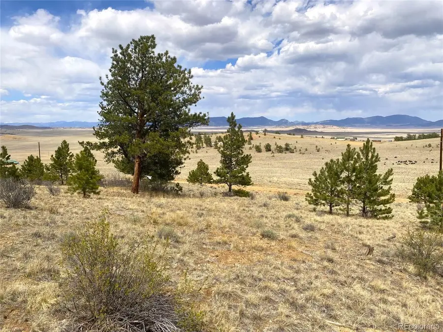 381 Red Cloud Rd, Hartsel, CO 80449 - #2