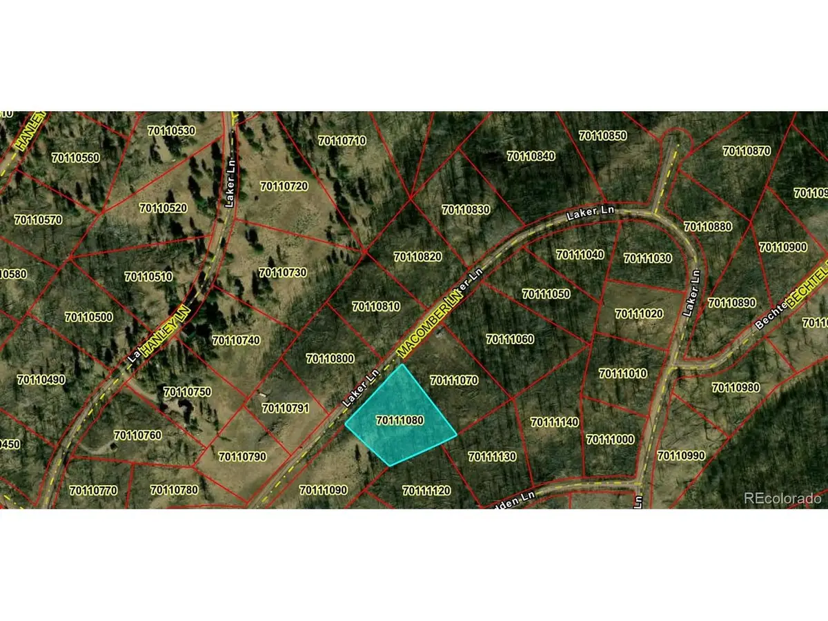 1195 Laker, Fort Garland, CO 81133 - #1