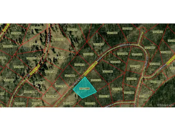 1195 Laker, Fort Garland, CO 81133