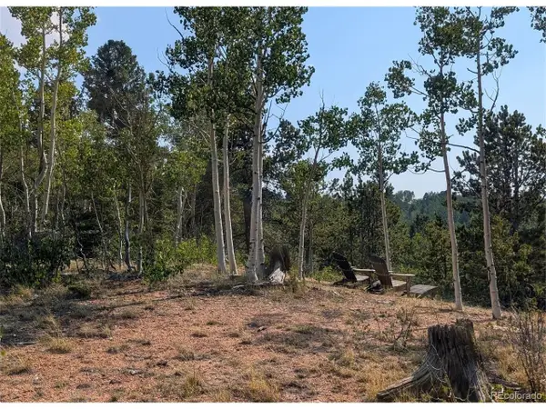 Fairview Dr, Cripple Creek, CO 80813