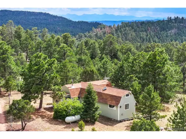 433 Antler Hill Trl, Canon City, CO 81212
