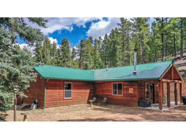 155 Squilchuck Trl, Woodland Park, CO 80863