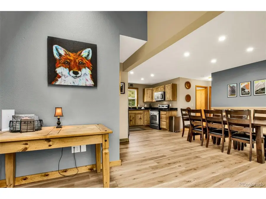 1881 River Dr, Alma, CO 80420 - #3