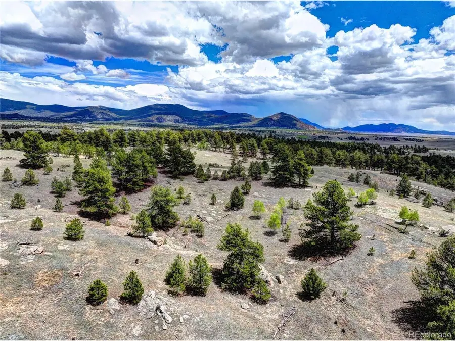 33 Jasper Way, Hartsel, CO 80449 - #3