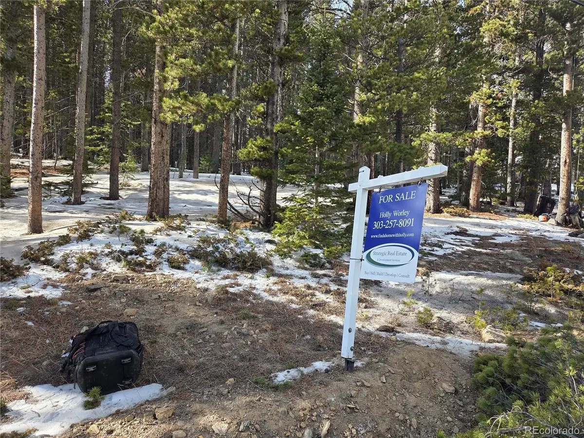 293 Beaver Rd, Idaho Springs, CO 80452 - Image #1