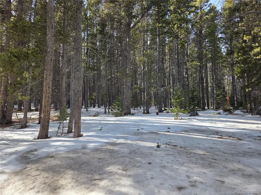 293 Beaver Rd, Idaho Springs, CO 80452 - Image #2