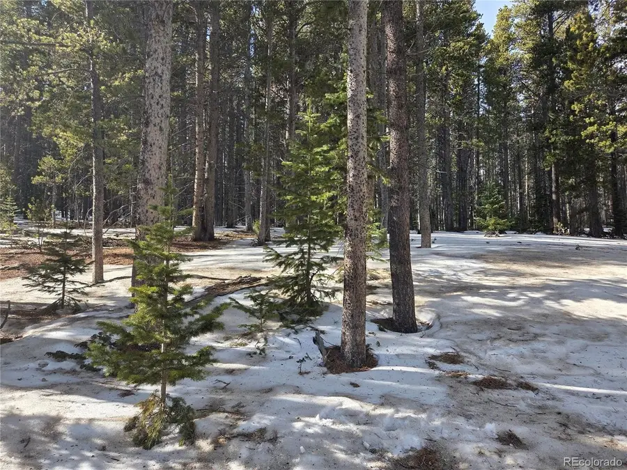 293 Beaver Rd, Idaho Springs, CO 80452 - Image #3