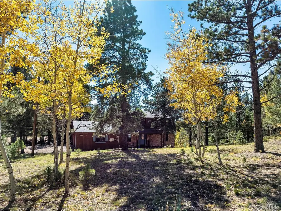 356 Spring Valley Dr, Divide, CO 80814 - Image #2