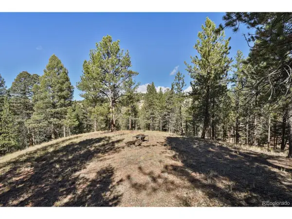 504 Bear Mountain Rd, Florissant, CO 80816