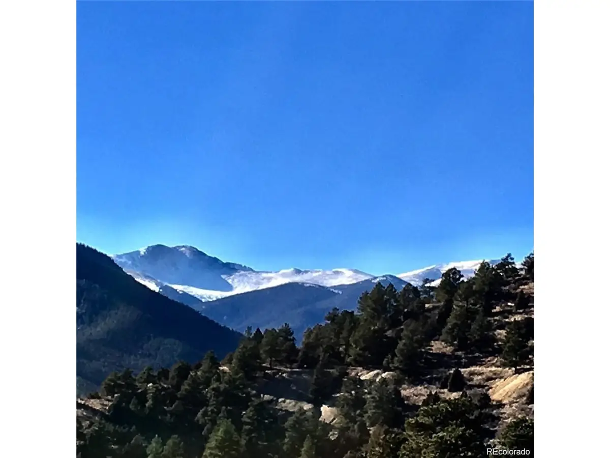 Wild Wagoner Tr, Dumont, CO 80452 - #1