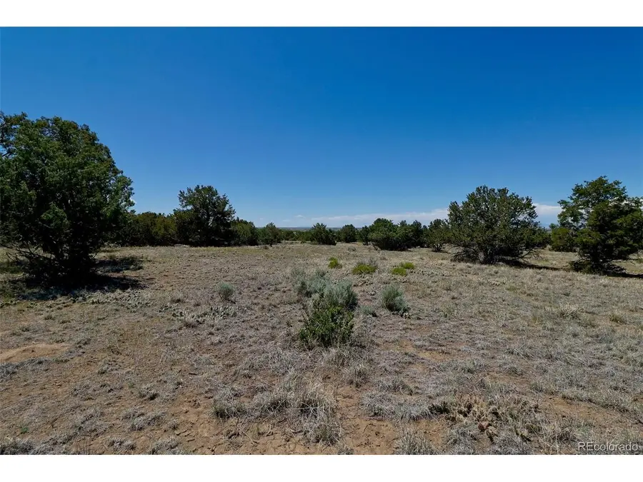 1563 Wagon Wheel Rd, Crestone, CO 81131 - #3