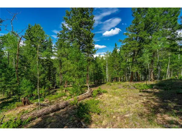 431 Cottonwood Lake Dr, Divide, CO 80814