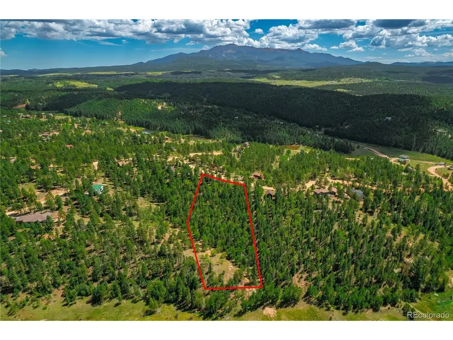 431 Cottonwood Lake Dr, Divide, CO 80814 - #2