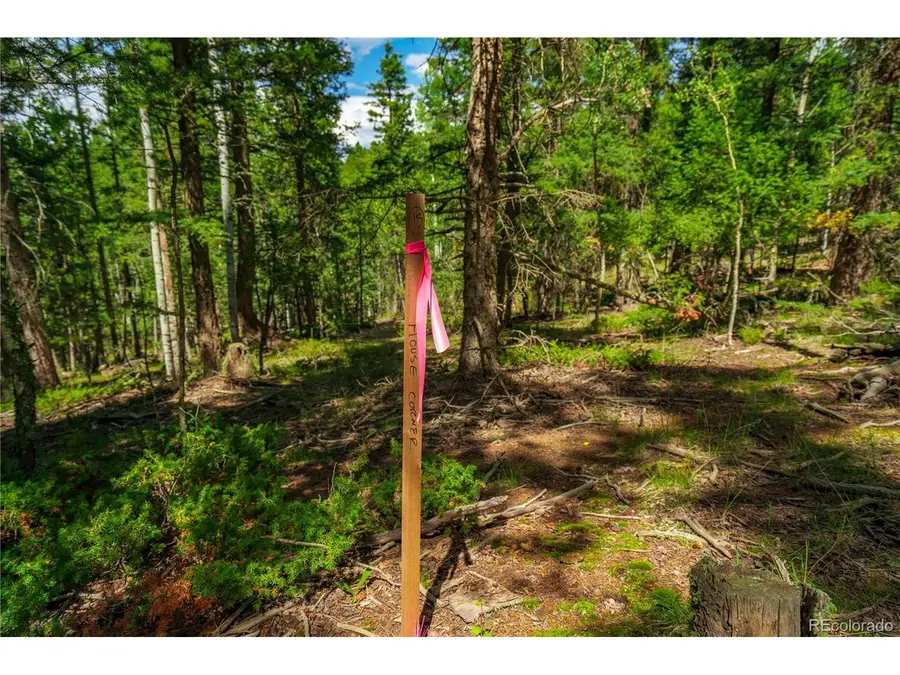 431 Cottonwood Lake Dr, Divide, CO 80814 - #3