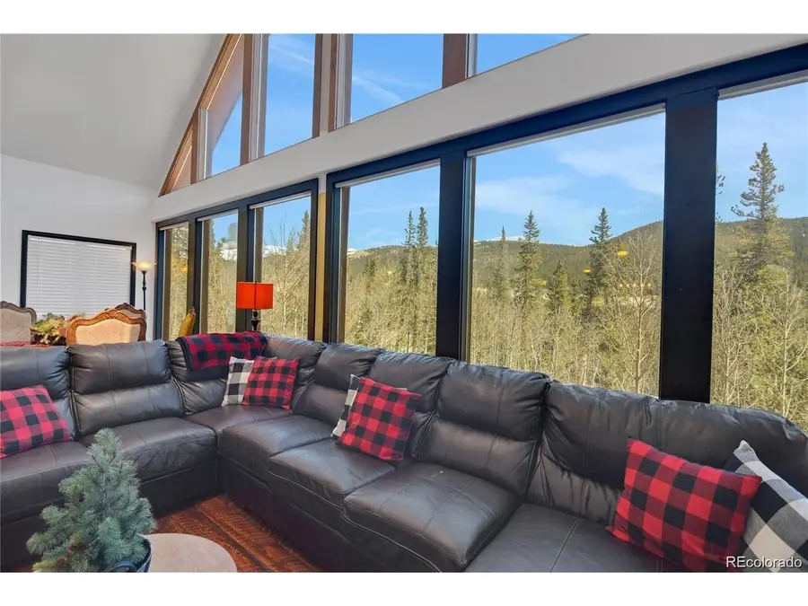 496 Quartzville Rd, Alma, CO 80420 - #3