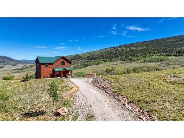 2977 High Creek Rd, Fairplay, CO 80440