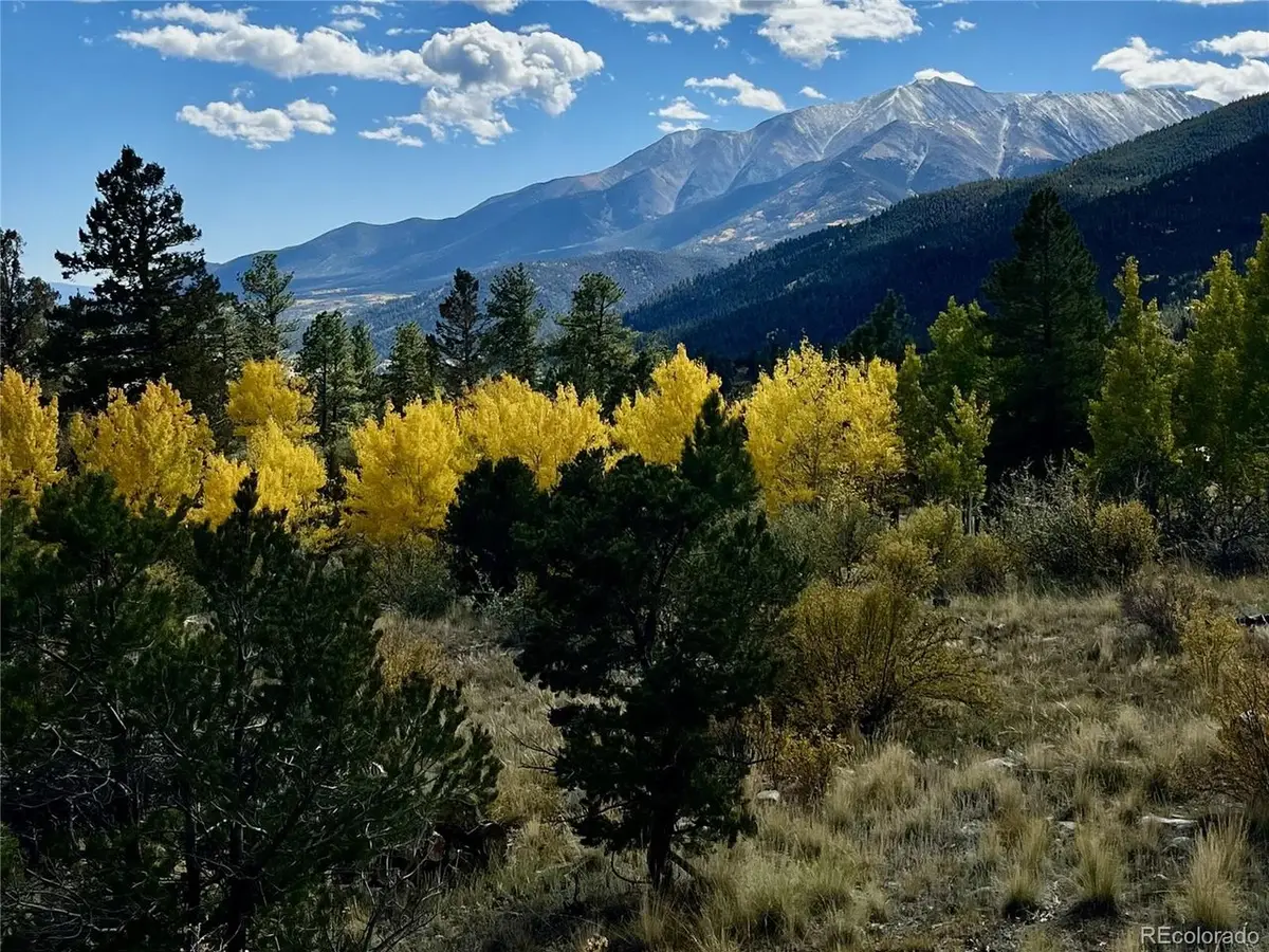 30192 Mountaintop Dr, Buena Vista, CO 81211 - #1