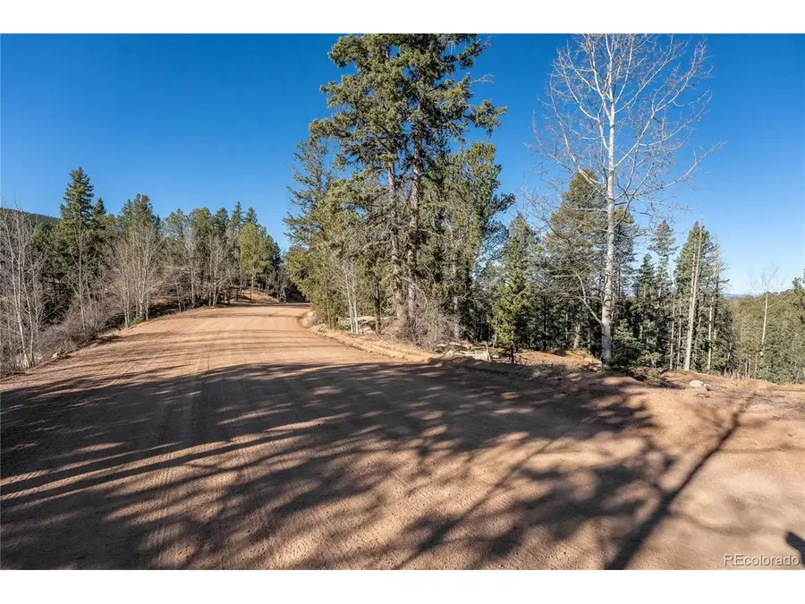565 Fairview Dr, Woodland Park, CO 80863 - #3