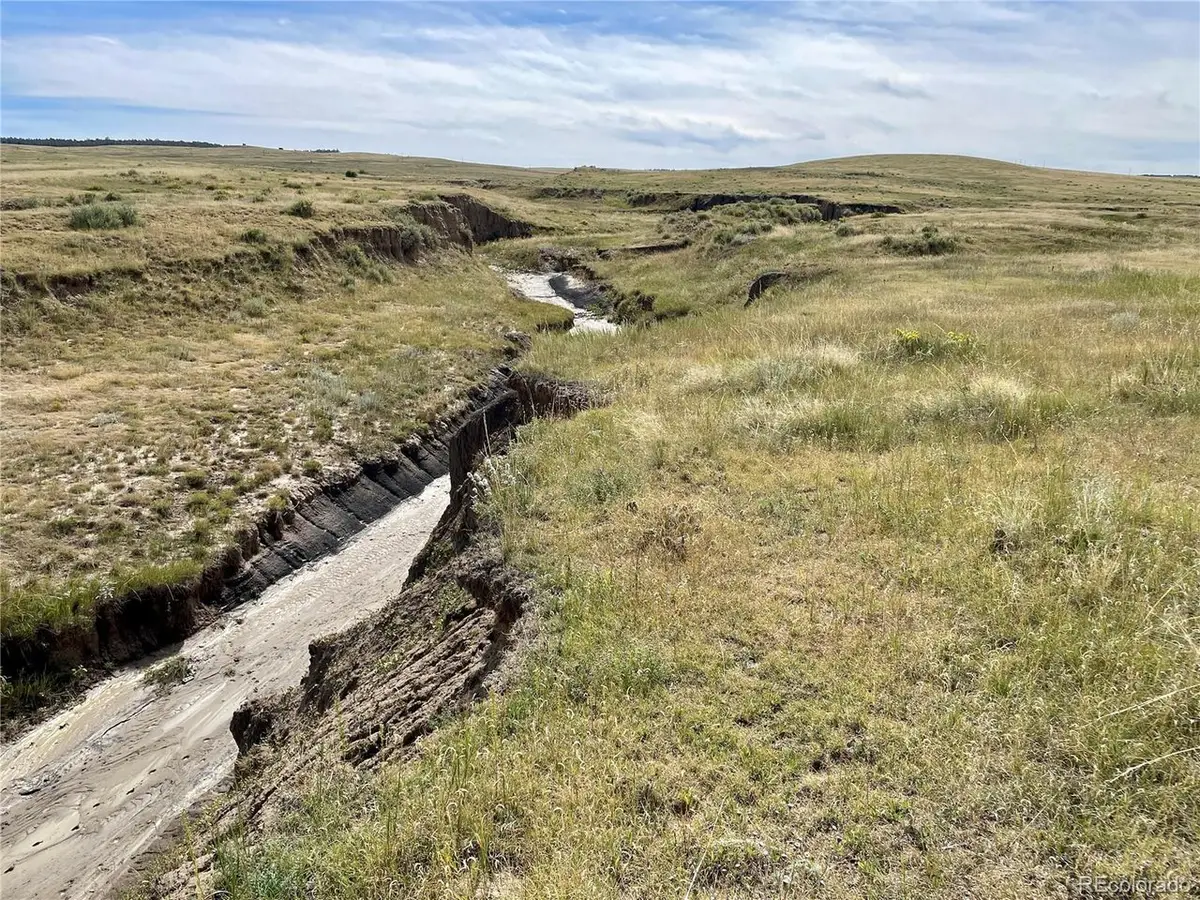 3 County Road 77, Calhan, CO 80808 - #1