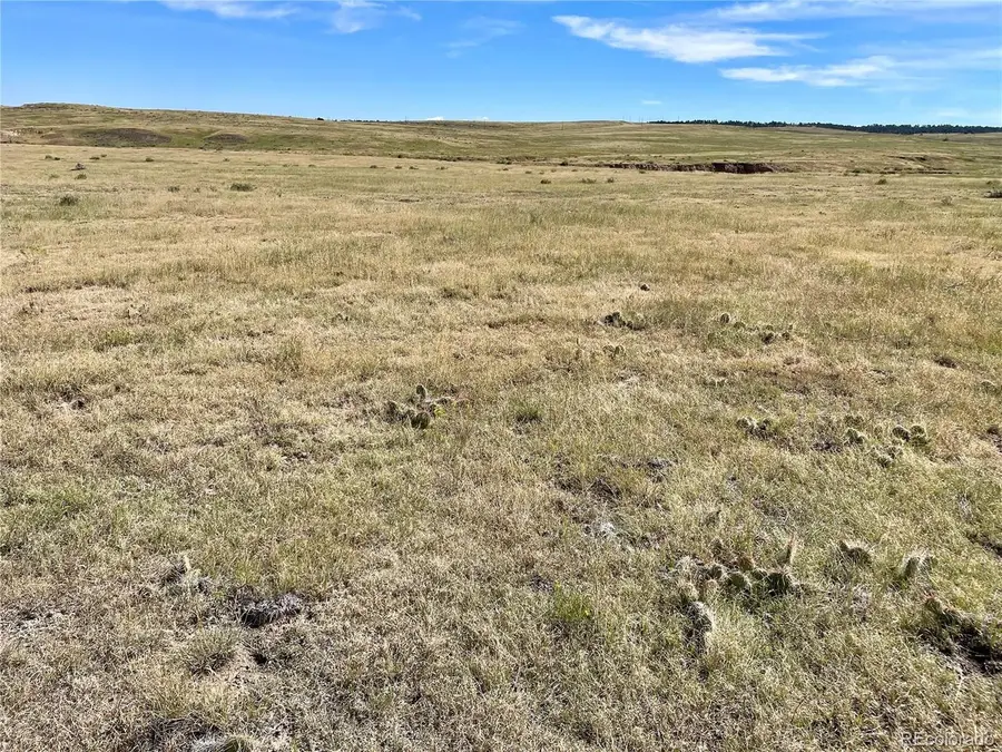 3 County Road 77, Calhan, CO 80808 - #2