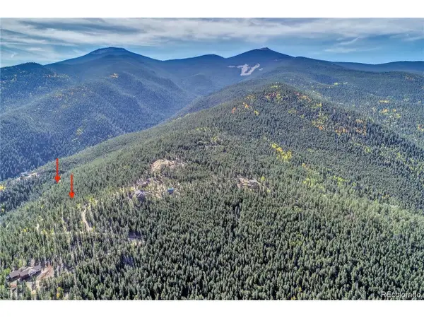 1234 Warren Gulch Rd, Idaho Springs, CO 80452