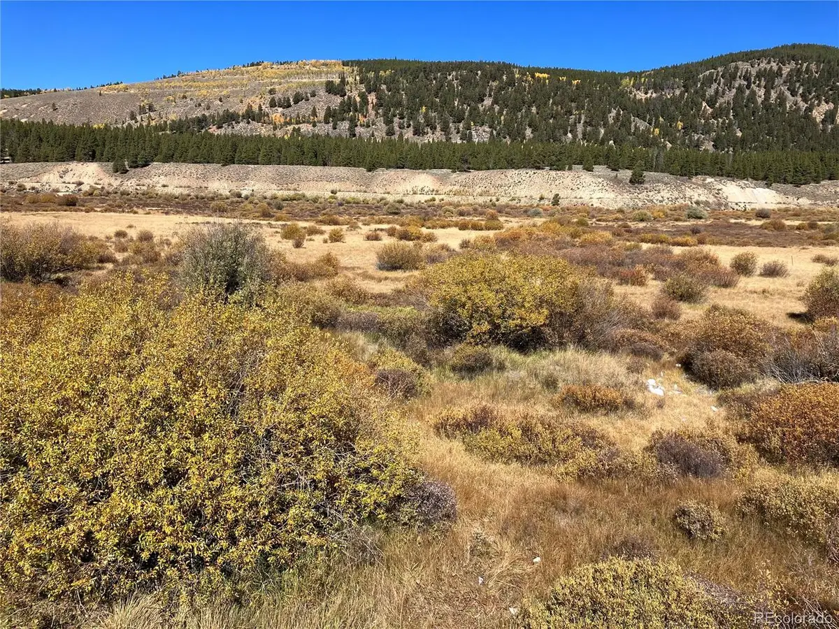Leadville Land, Leadville, CO 80461 - #1