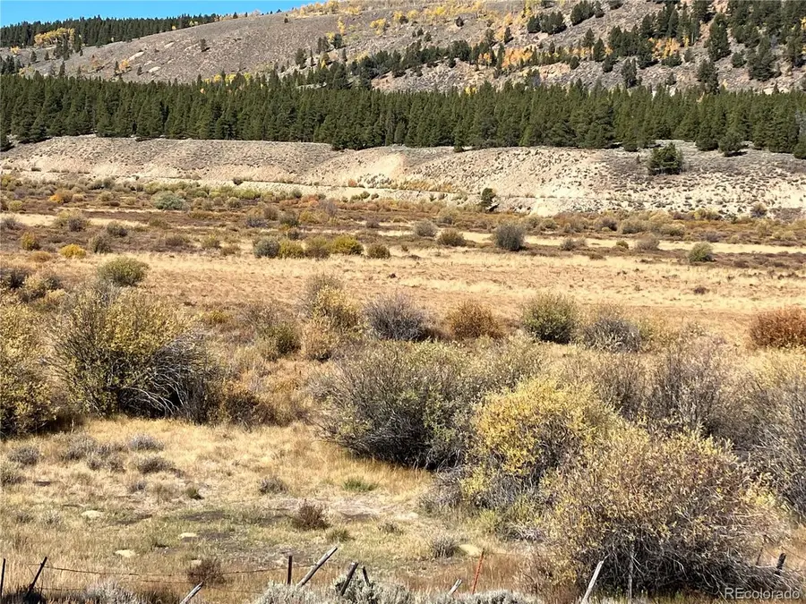 Leadville Land, Leadville, CO 80461 - #3