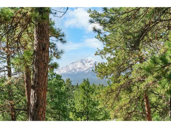 156 E Ridge Dr, Woodland Park, CO 80863