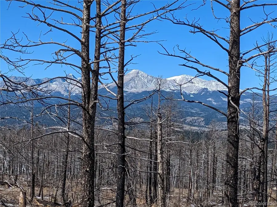 338 Hagin Ln, Fort Garland, CO 81133 - #2