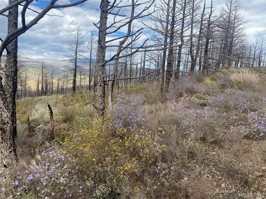 338 Hagin Ln, Fort Garland, CO 81133 - #3