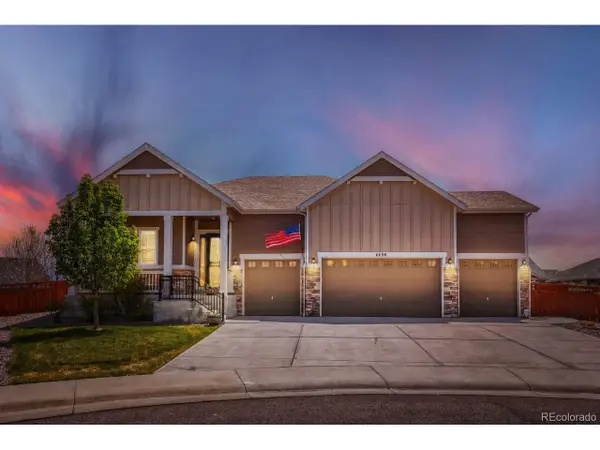 6698 Palmetto Ct, Castle Rock, CO 80108